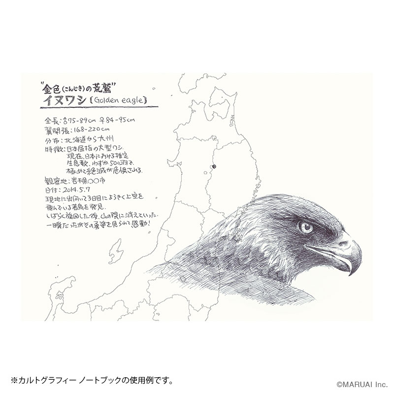 カルトグラフィー ブックA5