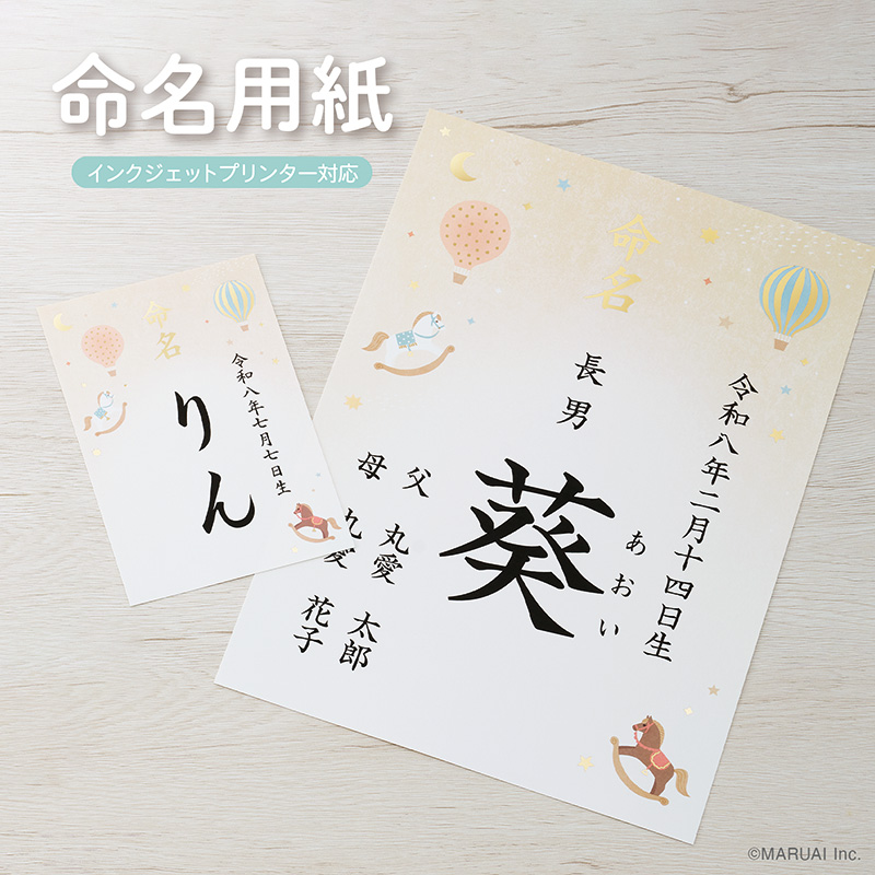 IJ命名用紙 ハガキサイズ9